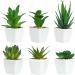 6 Pièces de Plantes Succulentes Artificielles en Pot